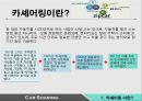 카셰어링(Car Sharing) 마케팅 분석 {거시적환경 분석, SWOT 분석, STP 분석, 4P 분석}.pptx
 4페이지