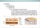 피부皮膚의 생리&유형(문제성피부)에 대한 이해 및 관리  (피부의 유형) 7페이지
