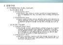 피부皮膚의 생리&유형(문제성피부)에 대한 이해 및 관리  (피부의 유형) 9페이지