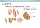 피부皮膚의 생리&유형(문제성피부)에 대한 이해 및 관리  (피부의 유형) 11페이지