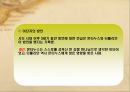 [기독교] 방언, 하늘의 언어인가? - 방언의 개념, 방언 뜻, 방언 견해, 방언 반대, 방언 찬성.ppt 19페이지
