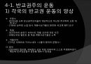 [기독교와 유럽문명] 세속화의 시작 : 기독교와 계몽주의 - 유럽 중세 기독교와 세속화의 관계, 세속화의 특징, 다양한 세속화.pptx 31페이지