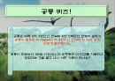 [초등학교初等學校 수업지도안] 수업지도, 수업지도안, 지도안, 수업계획안-공룡에 대하여 조사하기 7페이지