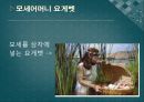 [출애굽기出埃及▽記 분석] 출애굽기의 개념, 출애굽기 등장인물, 출애굽 과정, 모세의 기적, 9페이지