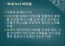 [출애굽기出埃及▽記 분석] 출애굽기의 개념, 출애굽기 등장인물, 출애굽 과정, 모세의 기적, 10페이지