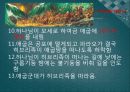 [출애굽기出埃及▽記 분석] 출애굽기의 개념, 출애굽기 등장인물, 출애굽 과정, 모세의 기적, 15페이지