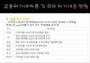 미국(US)의 금융위기와 각국의 위기대응현황, 그리고 전망.ppt
 15페이지