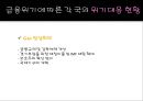 미국(US)의 금융위기와 각국의 위기대응현황, 그리고 전망.ppt
 17페이지