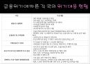 미국(US)의 금융위기와 각국의 위기대응현황, 그리고 전망.ppt
 18페이지