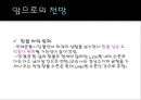 미국(US)의 금융위기와 각국의 위기대응현황, 그리고 전망.ppt
 20페이지