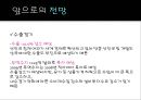 미국(US)의 금융위기와 각국의 위기대응현황, 그리고 전망.ppt
 23페이지