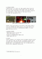 ★[대안교육] 대안학교 - 대안학교의 정의, 대안학교의 정의 특성, 국내외 대안학교 종류(간디학교, 세인학교, 풀무학교, 성지학교), 대안학교 문제점, 대안학교 전망★ 7페이지