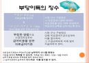 의료醫療급여법 46페이지