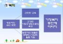 영유아infants보육법 4페이지