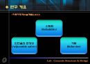 하중저항계수법과 광섬유센서를 이용한 PSC합성형교의 내하력평가.(발표자료).pptx 9페이지