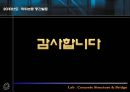 하중저항계수법과 광섬유센서를 이용한 PSC합성형교의 내하력평가.(발표자료).pptx 15페이지