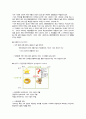 ★클린앤클리어 (Clean & Clear) 마케팅의 기본개념과 전략수립체계, STP, 4P, 분석 결과 문제점 도출★ 8페이지