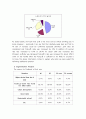 [영어,영문 마케팅 사례 Strategic Marketing] 참이슬의 전략적 마케팅 Strategic Marketing in Chamisul (참이슬 마케팅 사례 영문) 9페이지