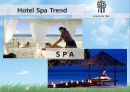 [호텔경영전략 Hotel Management Strategy] 웰니스 Wellness 호텔에서의 피트니스와 스파 연계 방안  한국 호텔산업의 경영환경 분석, 한국 호텔산업의 문제점과 특징, 글로벌 호텔기업 구축의 전략방안.pptx 26페이지