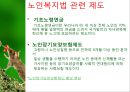 노인복지법.ppt 8페이지