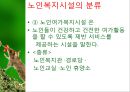 노인복지법.ppt 13페이지