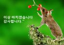 노인복지법.ppt 19페이지