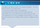매슬로우 (매슬로/Maslow) & 벡 (Beck).ppt 23페이지