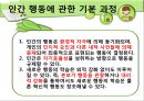 반두라 (Albert Bandura)  9페이지