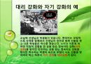 반두라 (Albert Bandura)  15페이지