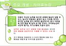 반두라 (Albert Bandura)  16페이지