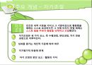 반두라 (Albert Bandura)  19페이지