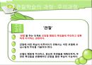 반두라 (Albert Bandura)  23페이지