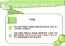 반두라 (Albert Bandura)  25페이지