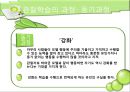 반두라 (Albert Bandura)  28페이지
