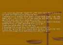 외국인 노동자의 선거권!.ppt 17페이지