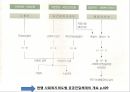 사회복지서비스법 (사회복지사업법) - 사회복지서비스법의 개요와 특성, 사회복지사업법.pptx 19페이지