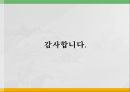 욕구조사와 프로그램 기획 30페이지