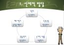 인간의 성장과 발달 {태아기, 신생아기, 영아기, 걸음마기, 유아기, 아동기, 청소년기, 청년기}.pptx 38페이지