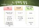 인간의 성장과 발달 {태아기, 신생아기, 영아기, 걸음마기, 유아기, 아동기, 청소년기, 청년기}.pptx 92페이지