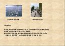 일본지역조사 (아사쿠사, 시부야, 아메요코, 홋가이도, 오사카, 오키나와, 교토).ppt 17페이지