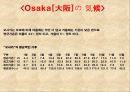 일본지역조사 (아사쿠사, 시부야, 아메요코, 홋가이도, 오사카, 오키나와, 교토).ppt 19페이지