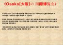 일본지역조사 (아사쿠사, 시부야, 아메요코, 홋가이도, 오사카, 오키나와, 교토).ppt 21페이지