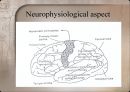 Motor control in human movement - cortex 피질.pptx 12페이지