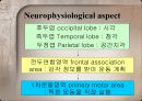 Motor control in human movement - cortex 피질.pptx 13페이지