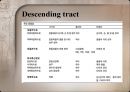 Motor control in human movement - cortex 피질.pptx 14페이지