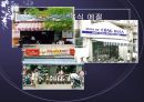 베트남 음식문화 {배트남 음식문화의 배경과 특징, 베트남 음식예절, 베트남 음식, 배트남 축제와 음식}.ppt 9페이지