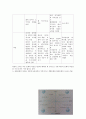 사회복지 행정이론  11페이지