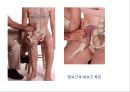 03. 골반 근육 (pelvic muscle)의 기시, 정지 , 작용 , TP사진, 기능적 단위 등.pptx 12페이지