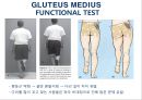 03. 골반 근육 (pelvic muscle)의 기시, 정지 , 작용 , TP사진, 기능적 단위 등.pptx 23페이지