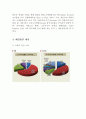 아시아나항공 (Asiana Airlines) 기업경영 사례분석 - 아시아나항공 경영분석과 SWOT분석및 아시아나항공 마케팅전략분석과 아시아나항공의 문제점과 해결방안제안 및 견해정리 11페이지